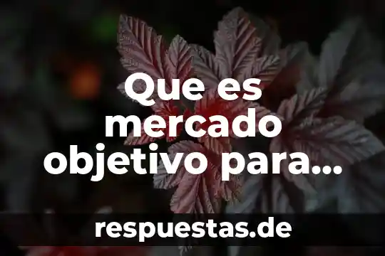 Que es ser objetivo en el periodismo 6 Que es mercado objetivo para una empresa