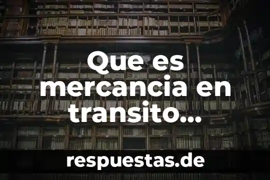 Que es mercancia en transito contabilidad