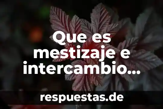 Que es la pedagogía cultural de los valores 7 Que es mestizaje e intercambio cultural