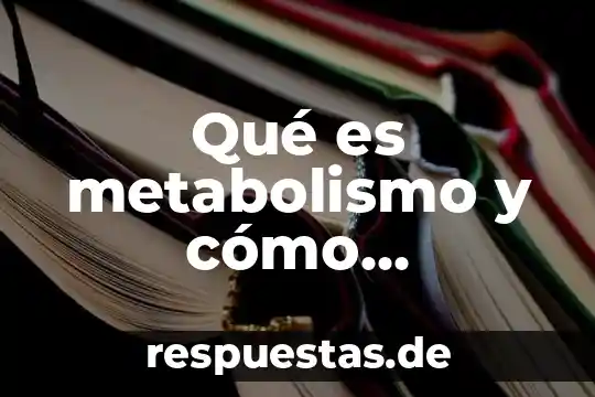 Qué es metabolismo y cómo calcularlo