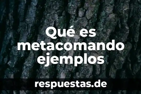 Que es el pensamiento filosofico ejemplos 6 Qué es metacomando ejemplos