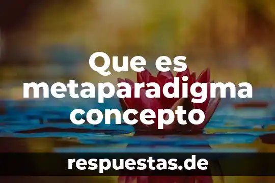 Que es concepto linguistico 4 Que es metaparadigma concepto
