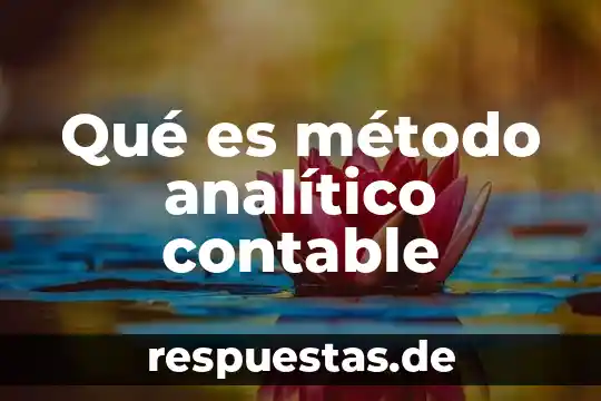 Qué es el flujo de energía en la antropología ecológica 4 Qué es método analítico contable