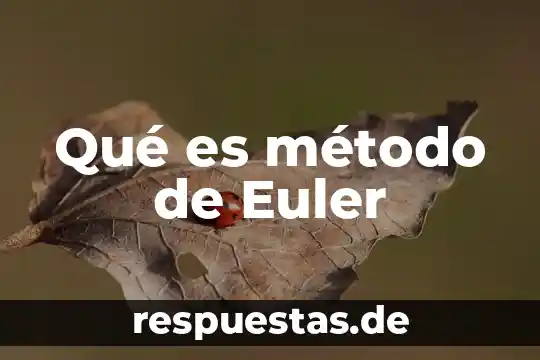Que es un metodo geometrico 6 Qué es método de Euler