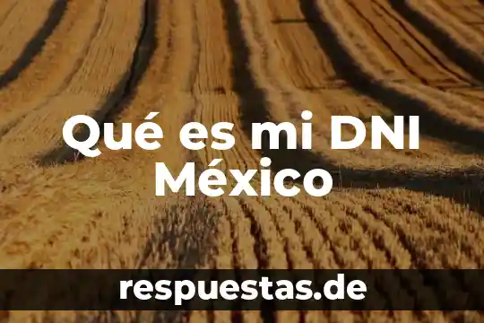 Promotor social que es de mi tienda en que consiste 6 Qué es mi DNI México
