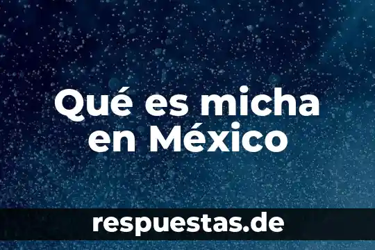 Qué es micha en México