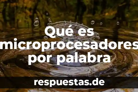 Que es el significado connotativo de una palabra 8 Qué es microprocesadores por palabra