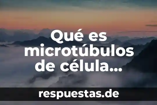 Que es una infografía celula animal vs vegetal 6 Qué es microtúbulos de célula animal