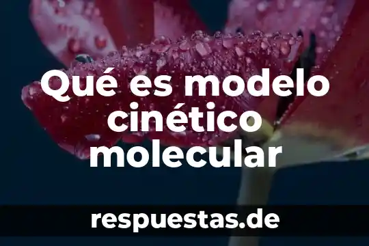 Qué es un principio en ciencia 7 Qué es modelo cinético molecular