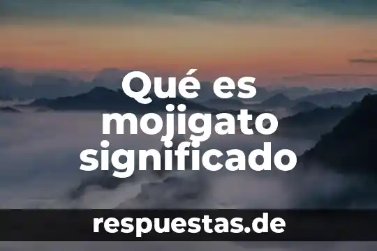 Significado de que es un libreto 6 Qué es mojigato significado