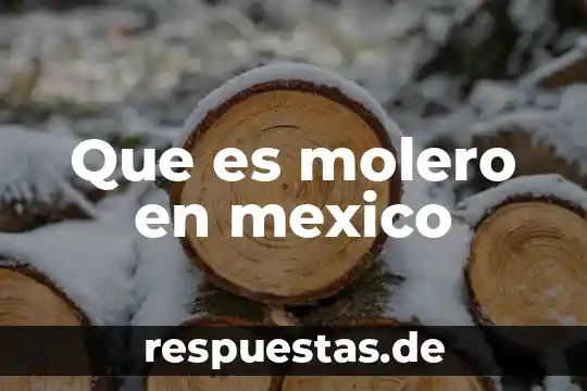 Qué es ser una sacerdotisa 8 Que es molero en mexico