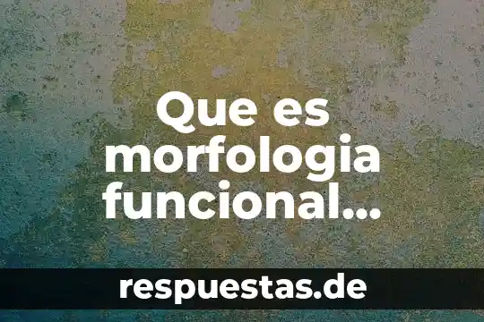 Qué es la programación lógica y funcional 5 Que es morfologia funcional deportiva