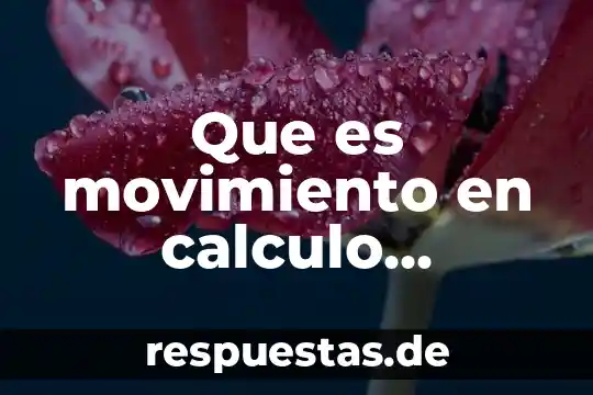 Que es orientacion en calculo diferencial 4 Que es movimiento en calculo diferencial