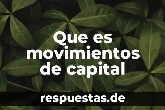 Qué es amortización de capital definición 4 Que es movimientos de capital