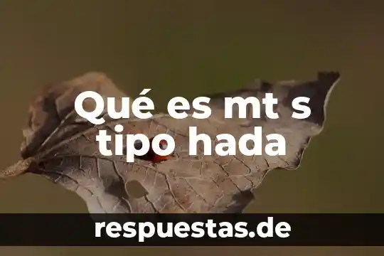 Qué es mt s tipo hada