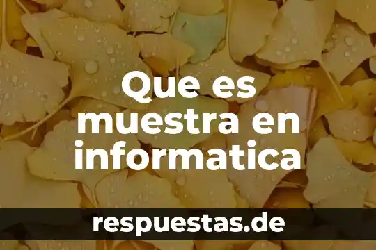 Qué es significa mother broaden informática 6 Que es muestra en informatica