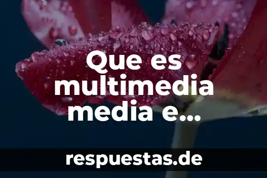 Qué es una media ponderada 7 Que es multimedia media e hiperdemia