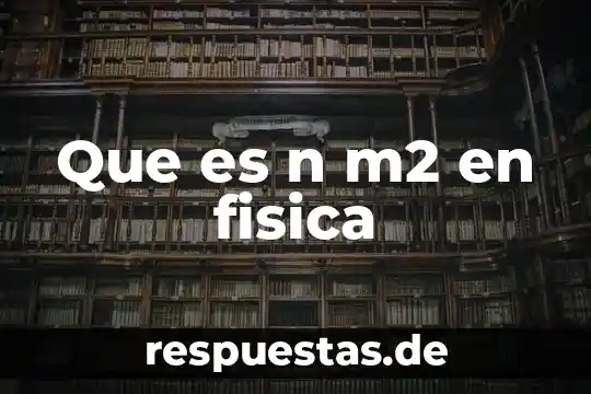 Que es un vector enfermedad 4 Que es n m2 en fisica