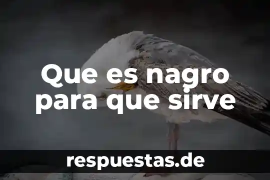 Que es nagro para que sirve