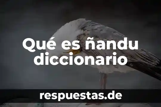Que es equidad significado diccionario 5 Qué es ñandu diccionario