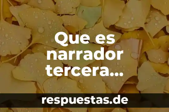 Que es narrador tercera persona