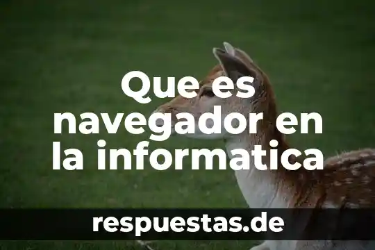Que es navegador en la informatica