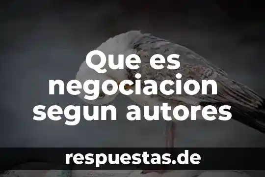 Según autores que es la prenegociación 6 Que es negociacion segun autores