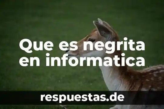 Que es xss en informatica 3 Que es negrita en informatica