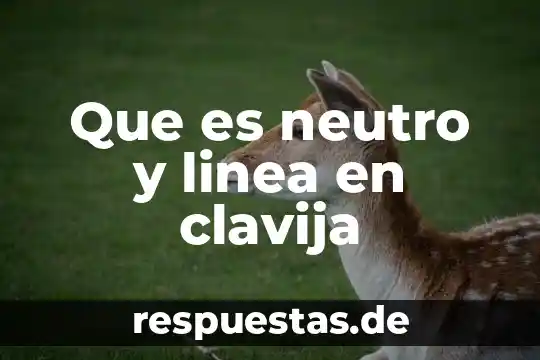 Que es el juicio en linea sat 3 Que es neutro y linea en clavija