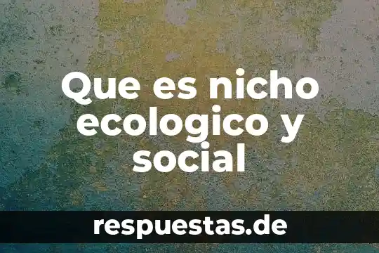 Que es la desigualdad social en historia 8 Que es nicho ecologico y social