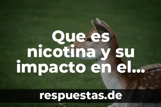 Que es un modelo de impacto 8 Que es nicotina y su impacto en el organismo