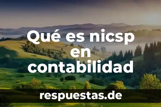 Que es el ente publico en la contabilidad gubernamental 5 Qué es nicsp en contabilidad