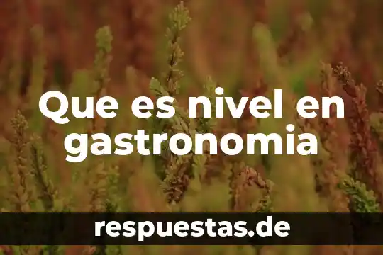 Qué es servicio comida rápida y autoservicio en gastronomía 7 Que es nivel en gastronomia