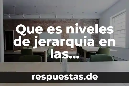 Que es niveles de contaminación 7 Que es niveles de jerarquia en las organizaciones