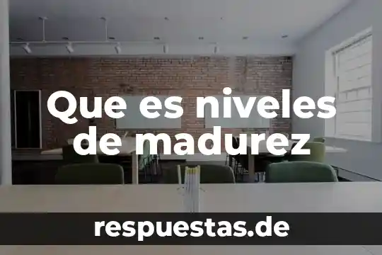 Que es niveles de contaminación 3 Que es niveles de madurez