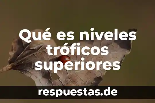 Que es niveles de contaminación 6 Qué es niveles tróficos superiores