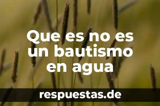Que es el dispersador de agua de un fefrigerado 7 Que es no es un bautismo en agua