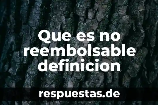 Qué es tesorería definición 7 Que es no reembolsable definicion