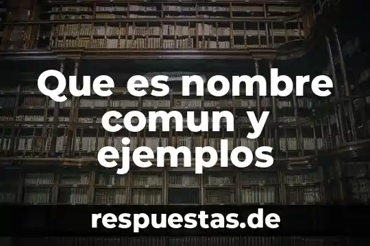 Qué es artículos definidos e indefinidos ejemplos 4 Que es nombre comun y ejemplos
