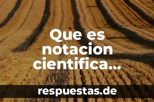 Que es capacidad cientifica 6 Que es notacion cientifica positiva