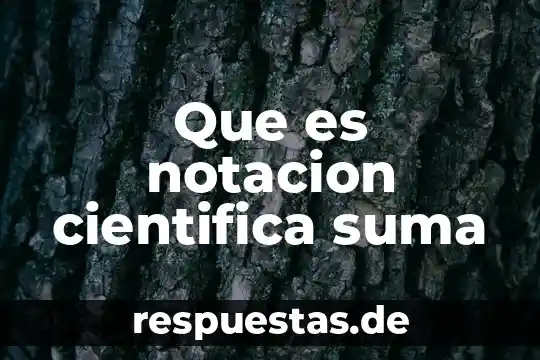 Que es notacion cientifica suma