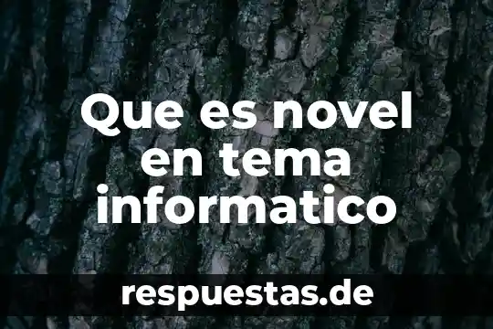 Que es investigación de derecho informático 4 Que es novel en tema informatico