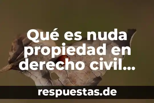 Que es un patrimonio derecho mexicano 4 Qué es nuda propiedad en derecho civil mexicano