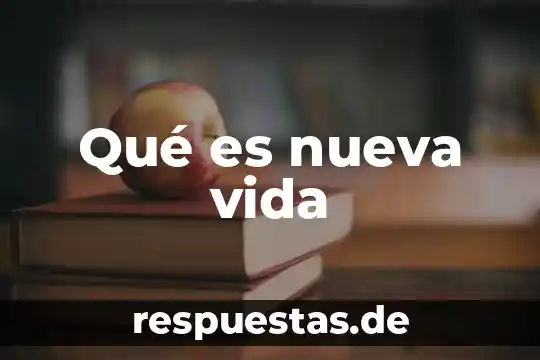 ¿Qué es vida cotidiana? 6 Qué es nueva vida