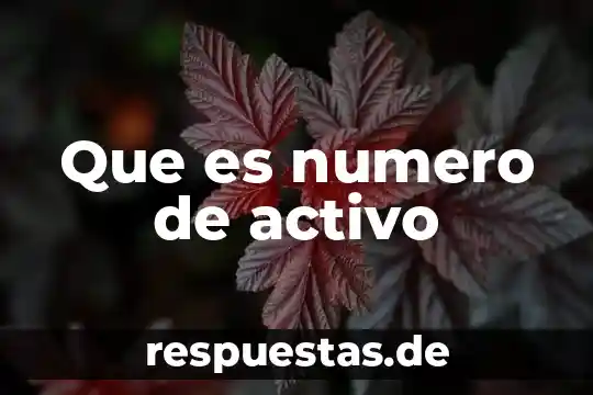 Que es numero figo 5 Que es numero de activo