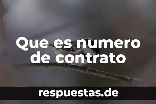 Número de evento que es 8 Que es numero de contrato