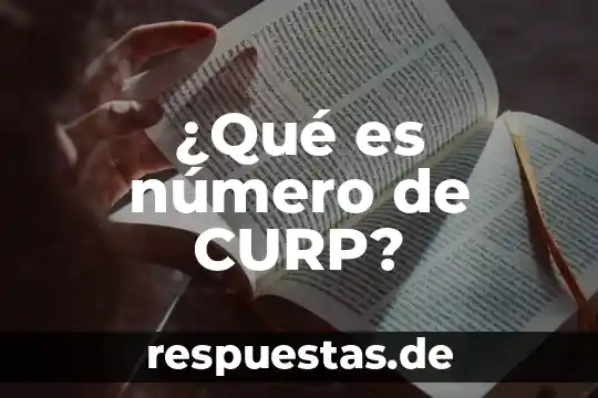 Número de ISBN que es 7 ¿Qué es número de CURP?