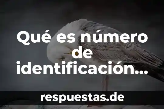 Qué es un ceo en estados unidos 7 Qué es número de identificación fiscal estatal en estados unidos