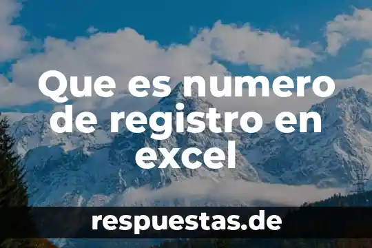Qué es el número local 4 Que es numero de registro en excel