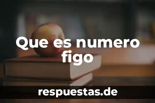 Que es el numero de catastro 8 Que es numero figo